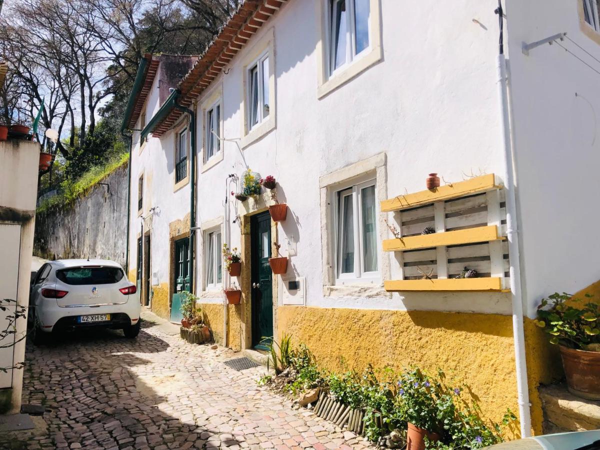 فيلا Pe Do Castelo Casinha - Pet Friendly & Garage تومار المظهر الخارجي الصورة